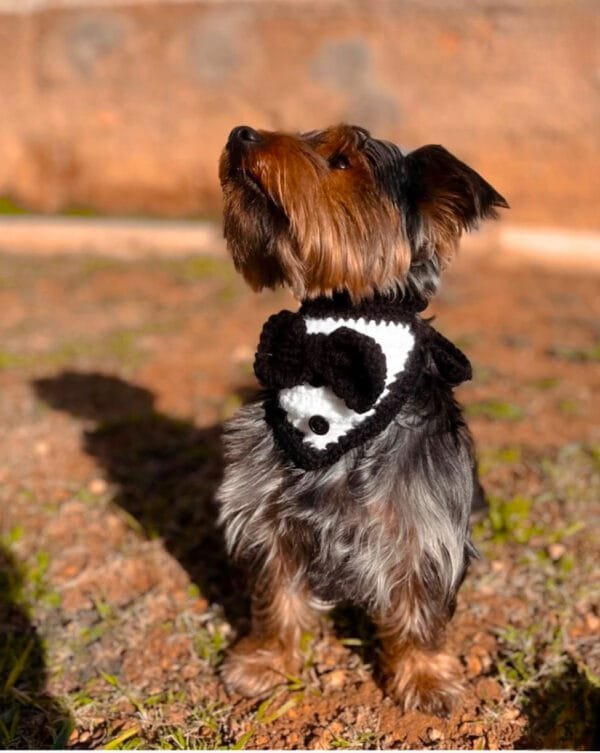 BANDANA DEL SEÑORITO - Imagen 2